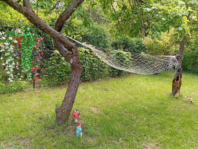 Działka ROD mokotow