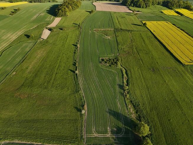 Działka rolka POMOCNE 3,25 ha
