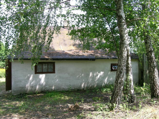 Działka siedliskowa Stare Buczyce