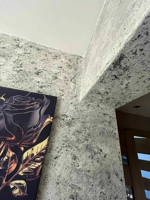 Usługi remontowo-wykończeniowe oraz budowlane.