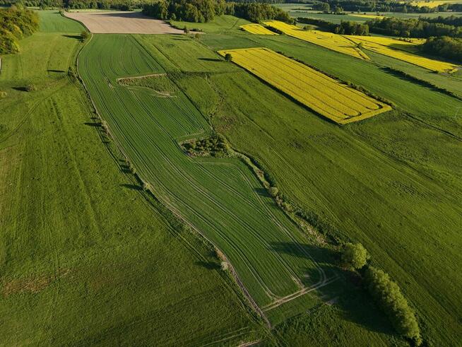Działka rolka POMOCNE 3,25 ha