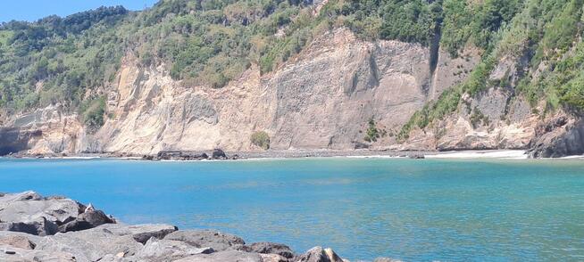 Poszukuję pary lub kobiety lubiącej kuchnię włoską