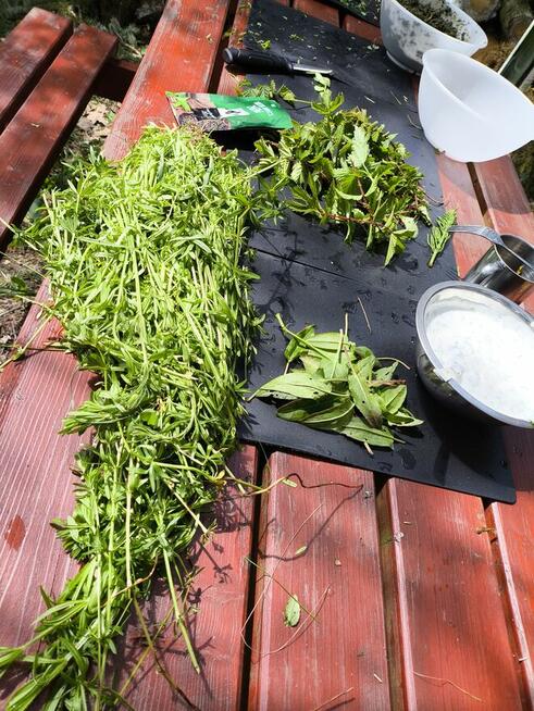 SURVIVAL Z RODZICEM pod W-wą!