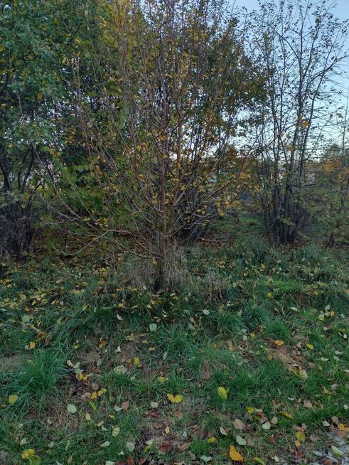 Promocja!! Działka budowlana