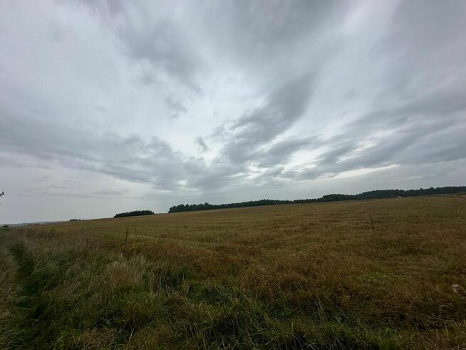 Syndyk sprzeda ½ udziału w nieruchomości gruntowej