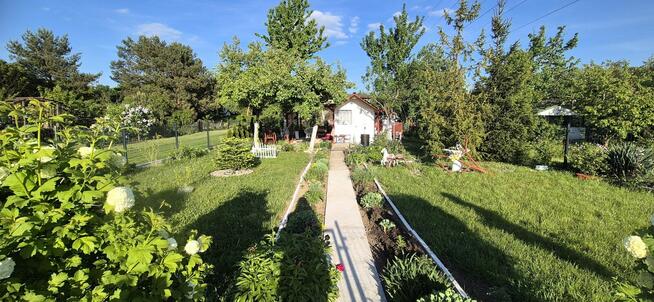 Odstąpię prawa do działki ROD – Wrocław, Kozanów (ROD)