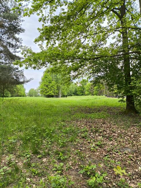 SURVIVAL Z RODZICEM pod W-wą!