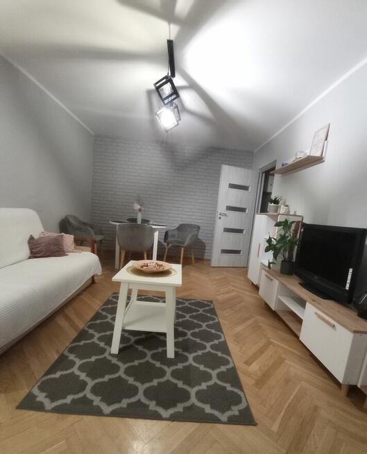 3 pokoje na Bielanach bez kaucji