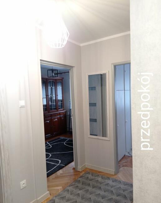 3 pokoje na Bielanach bez kaucji