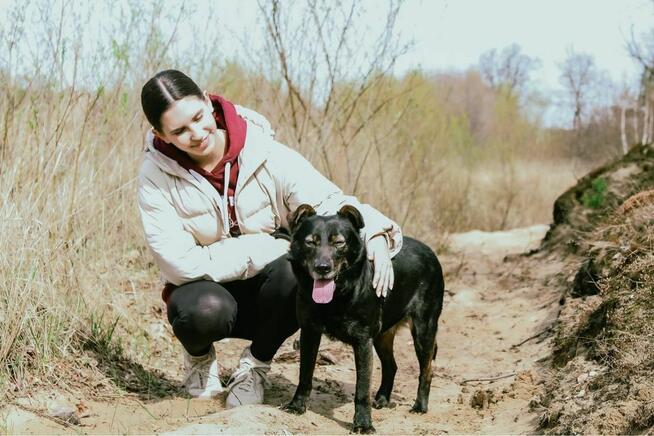 Benio-pies po przejściach czeka na wymarzony dom-adopcja