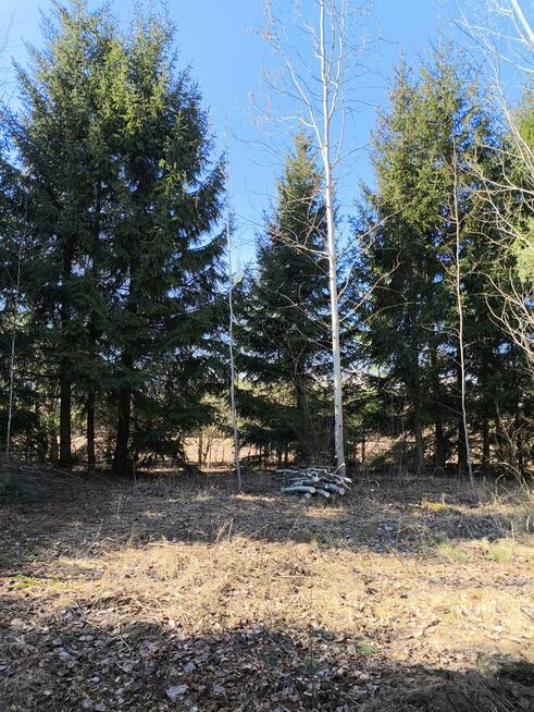 SURVIVAL Z RODZICEM pod W-wą!