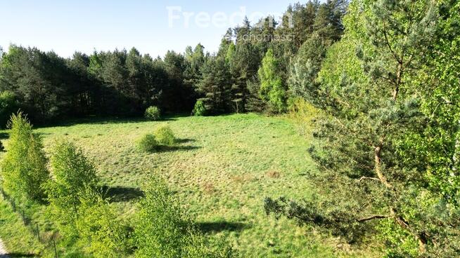 Wyjątkowa działka 9 000 m2 - Wilczany, gmina Iława