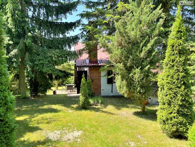 Dom Zamłyniec gm. Sosnowica