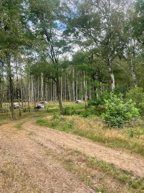 Działka budowlana Klotyldzin gm. Margonin