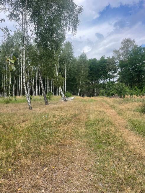 Działka budowlana Klotyldzin gm. Margonin