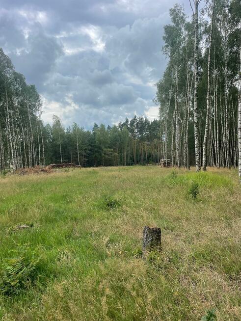 Działka budowlana Klotyldzin gm. Margonin