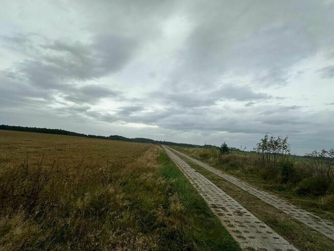 Syndyk sprzeda ½ udziału w nieruchomości gruntowej