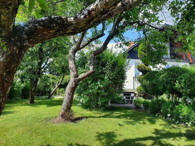 Sprzedam działkę ROD