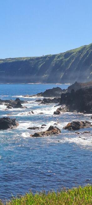 Poszukuję pary lub kobiety lubiącej kuchnię włoską