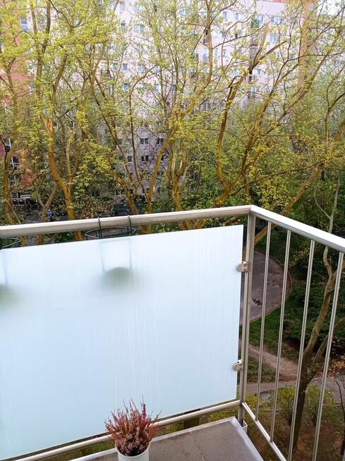 3 pokoje na Bielanach bez kaucji