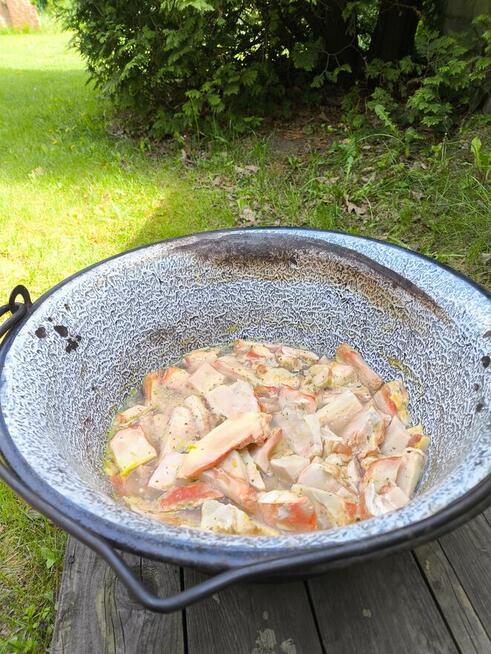 SURVIVAL Z RODZICEM pod W-wą!