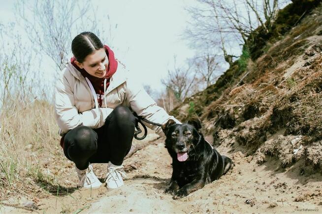 Benio-pies po przejściach czeka na wymarzony dom-adopcja