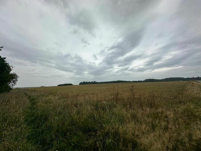 Syndyk sprzeda ½ udziału w nieruchomości gruntowej