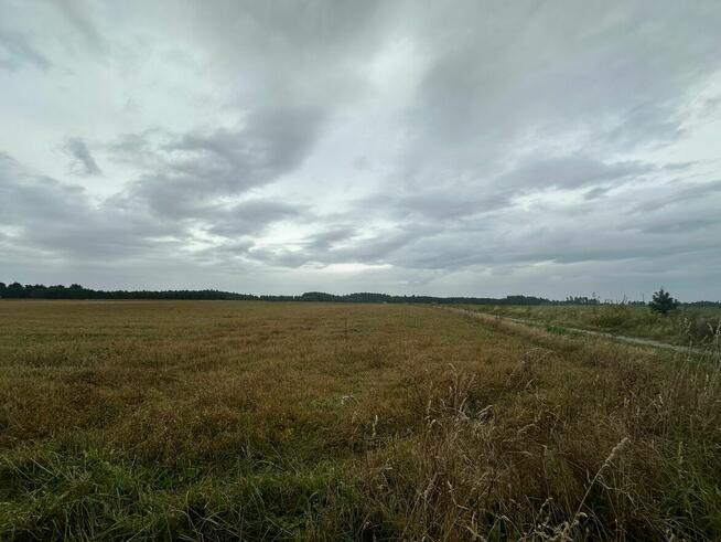 Syndyk sprzeda ½ udziału w nieruchomości gruntowej