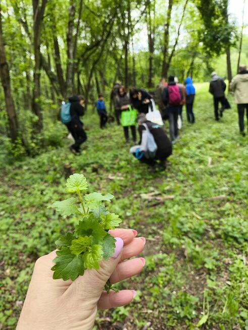 SURVIVAL Z RODZICEM pod W-wą!