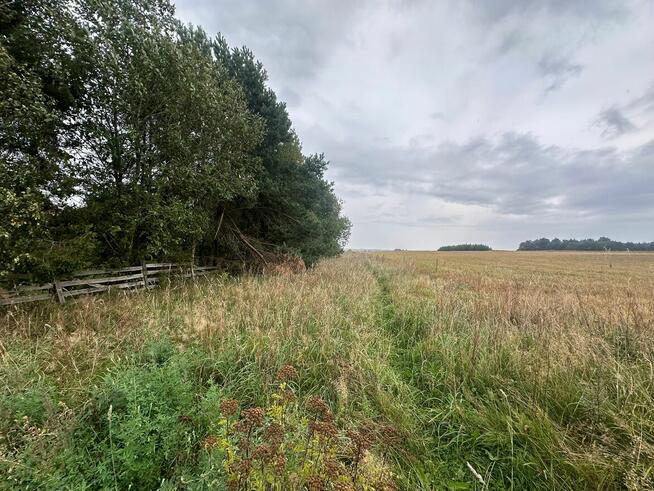 Syndyk sprzeda ½ udziału w nieruchomości gruntowej