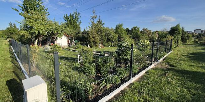 Odstąpię prawa do działki ROD – Wrocław, Kozanów (ROD)