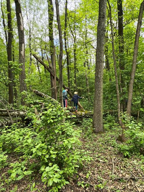 SURVIVAL Z RODZICEM pod W-wą!