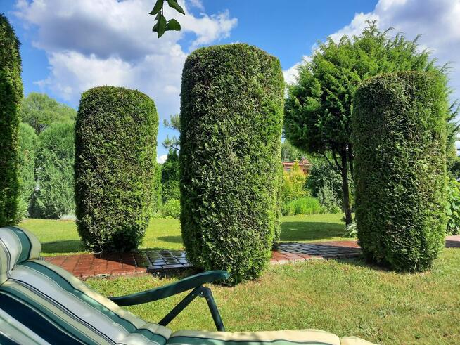 Sprzedam działkę ROD