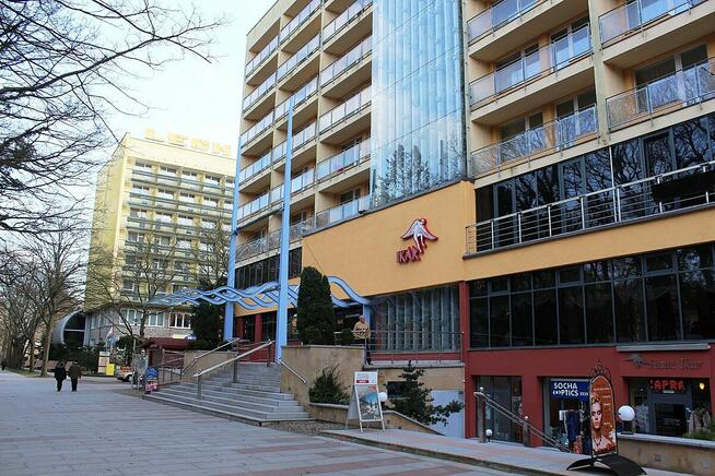 recepcjonista w Hotelu Ikar