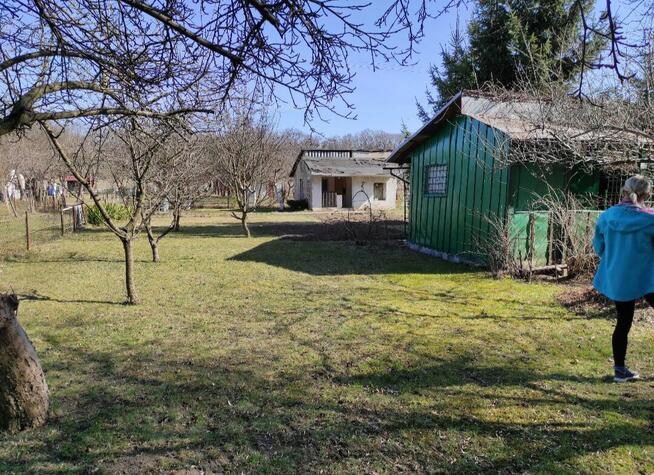Ogródek działkowy ROD Sołtysowicka