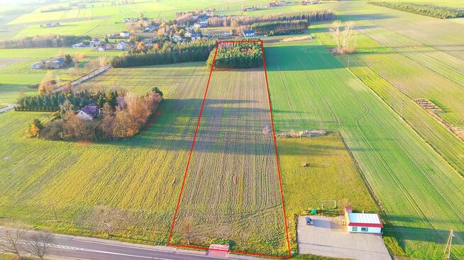 Okolice Ślesina – Działki Budowlane z Warunkami zabudowy