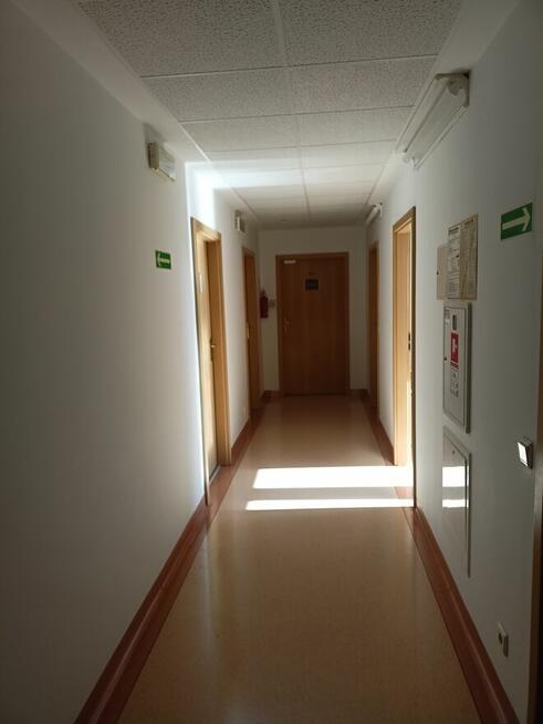 Biura do wynajęcia Szczecin