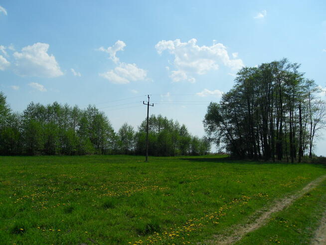 Tanio sprzedam gospodarstwo rolne