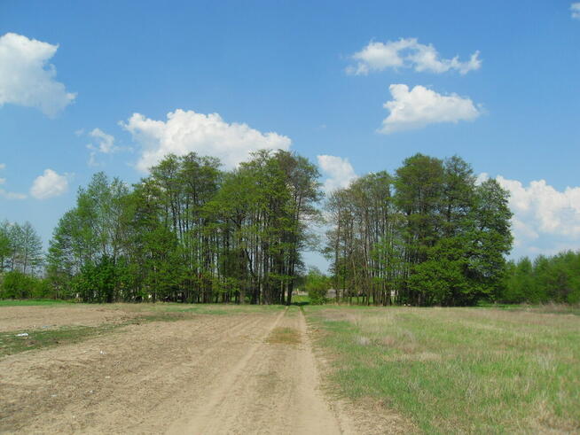 Tanio sprzedam gospodarstwo rolne