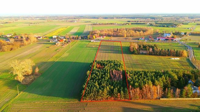 Okolice Ślesina – Działki Budowlane z Warunkami zabudowy