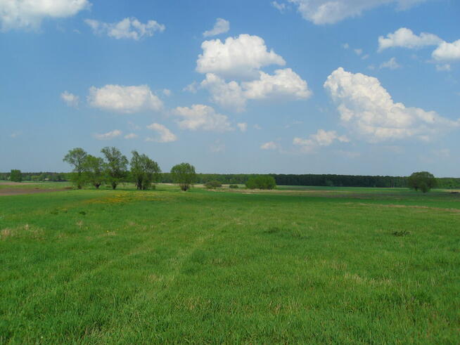 Tanio sprzedam gospodarstwo rolne