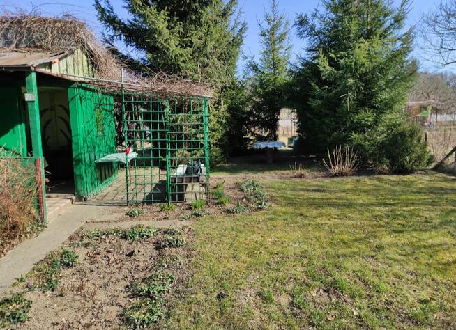 Ogródek działkowy ROD Sołtysowicka