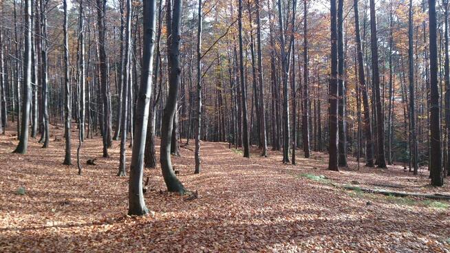Sprzedam pięknie położoną działkę rekreacyjno budowlaną