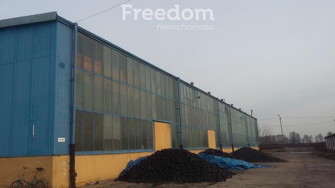 Hala produkcyjna 1328 m2 w dobrej lokalizacji.