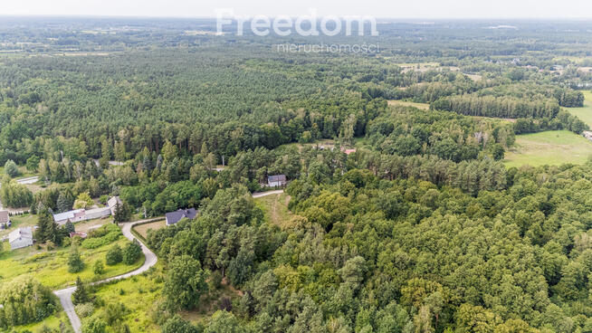Zielona działka w spokojnej okolicy