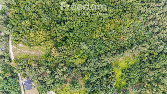 Zielona działka w spokojnej okolicy