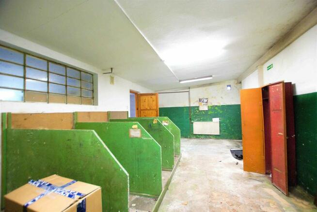 Lokal użytkowy Kielce