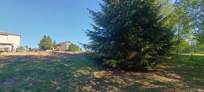 Działka budowlana Tumlin gm. Zagnańsk Dąbrówka