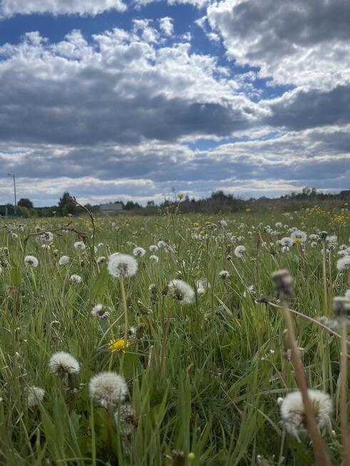 Atrakcyjna nieruchomość o pow. 41 902 m².