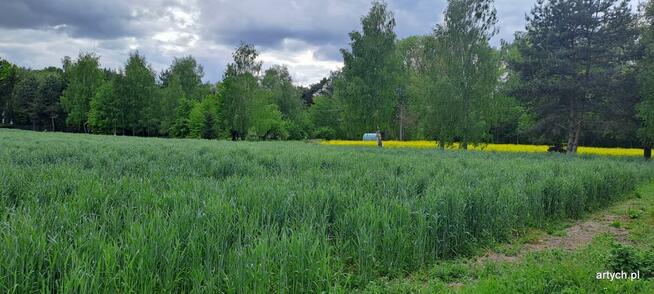 Działka budowlana Podrogów gm. Sokołów Podlaski